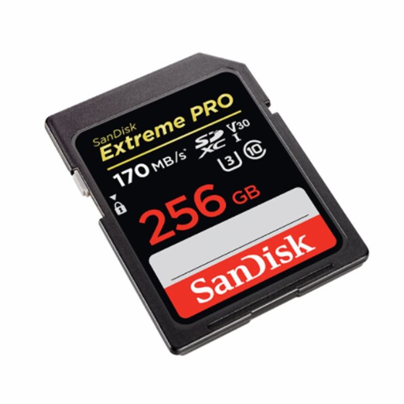 闪迪（SanDisk）存储卡（SD卡 256G 170M/S）